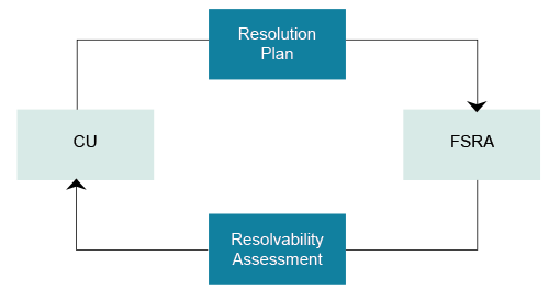 Resolution Plan Cycle